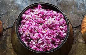 تصویر 1 از گلاب اصل عطری سنتی با کیفیت ممتاز